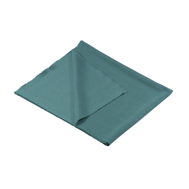 Czyścik do szyb 40 x 50 cm ciemnozielony