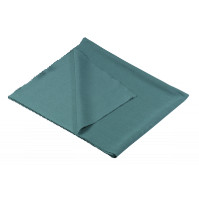 Czyścik do szyb 40 x 50 cm ciemnozielony